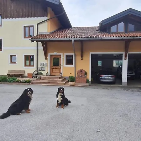 Bauernhof-loft Edtgut *